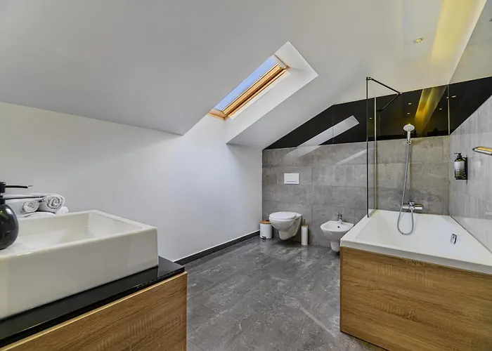 Koa - Memo Haus Braşov