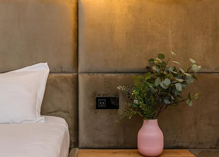 Koa - Memo Haus Braşov