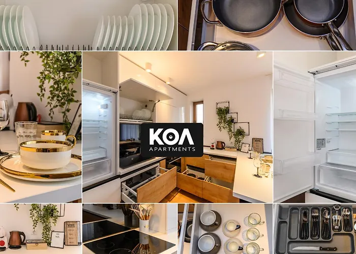 Koa - Memo Haus 公寓 布拉索夫